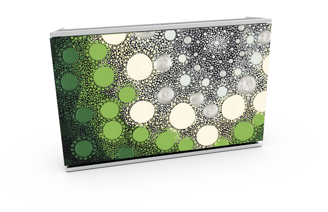 Skiniplay x Amy Diener Earthtone for Bang & Olufsen Beosound Level speaker