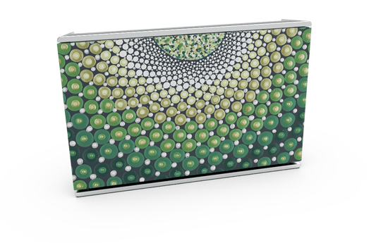 Skiniplay x Amy Diener Green Circle World of Love for Bang & Olufsen Beosound Level speaker