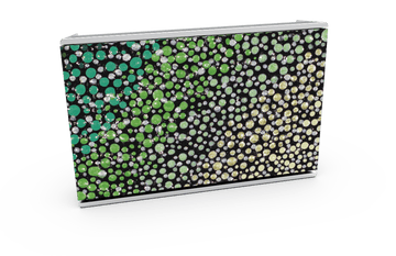 Skiniplay x Amy Diener Green Stars for Bang & Olufsen Beosound Level speaker