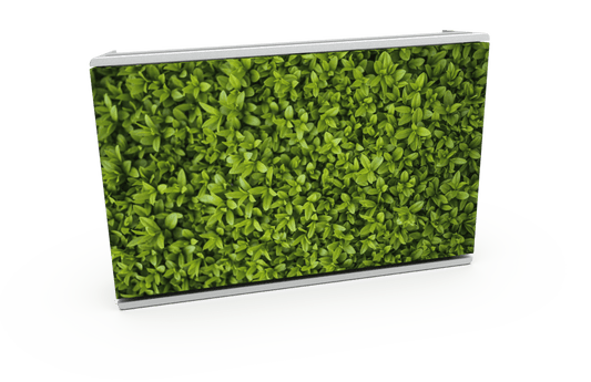 Skiniplay cover Plants for Bang & Olufsen Beosound Level speaker